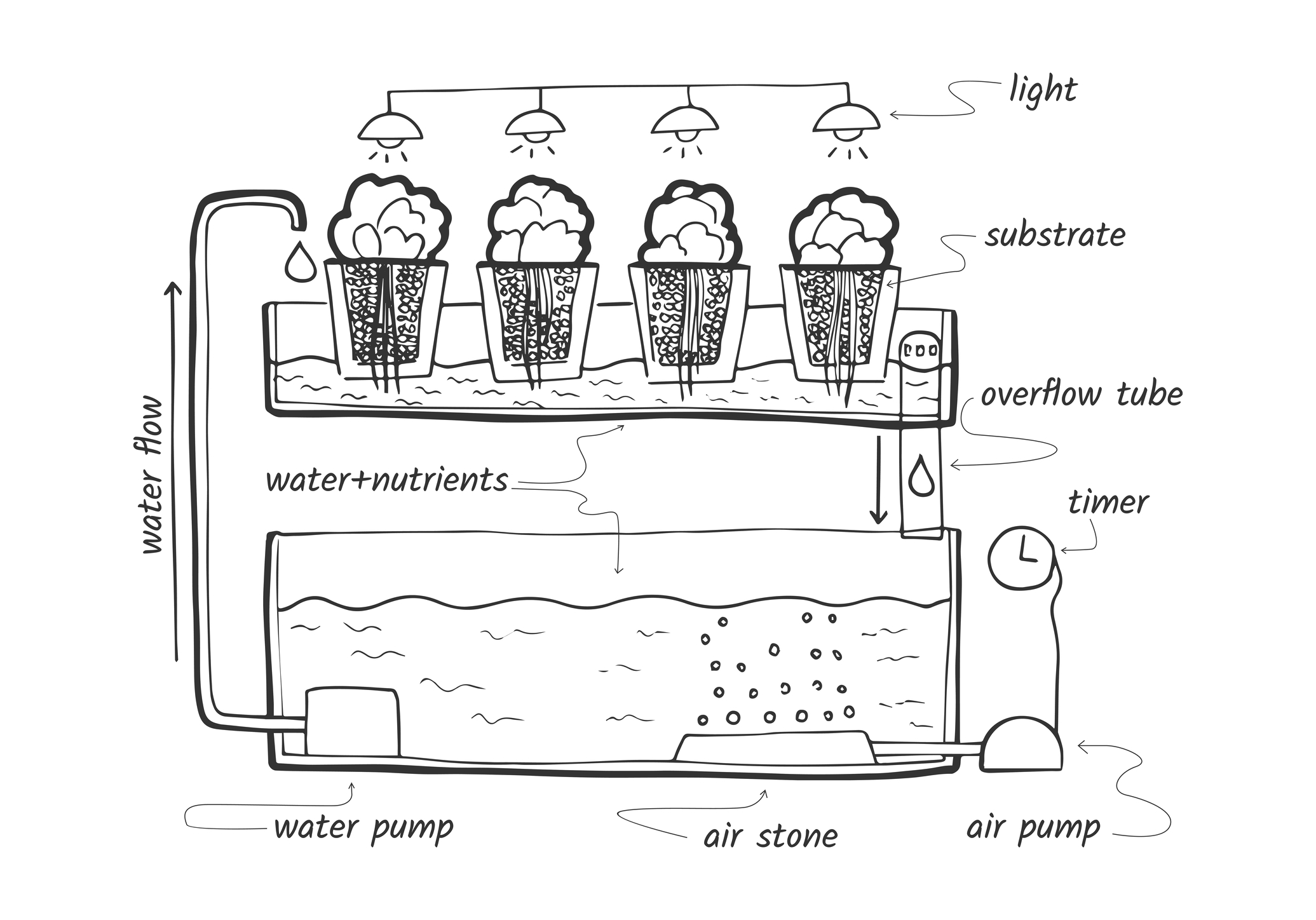 Hydroponic Ebb and Flow