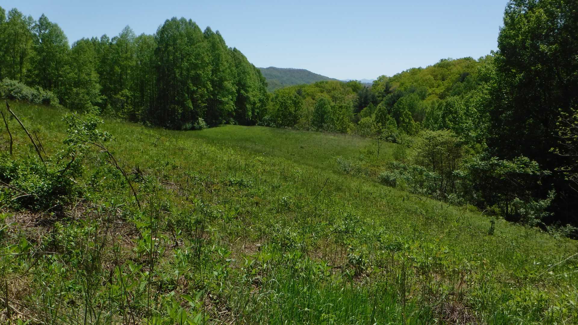 AT 2017 Day 23, Hot Springs to Little Paint Creek Trail Hike with