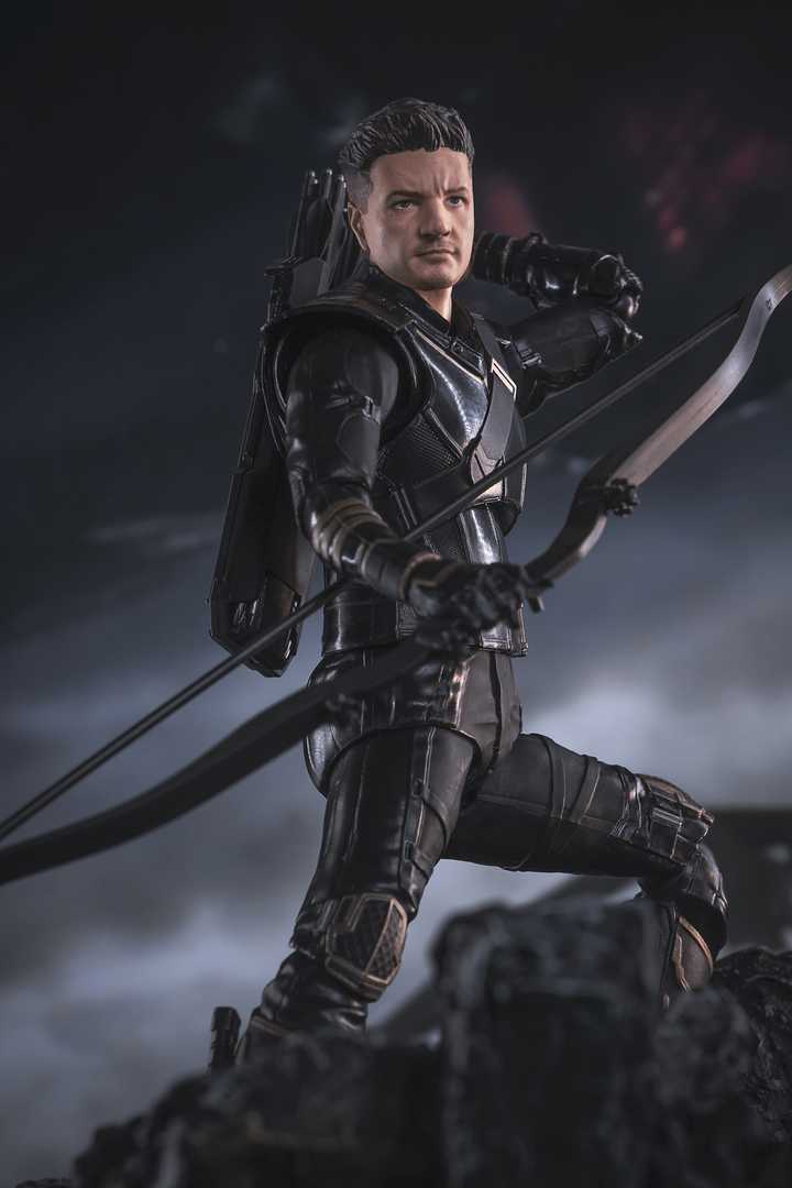 SHF Hawkeye & Ronin