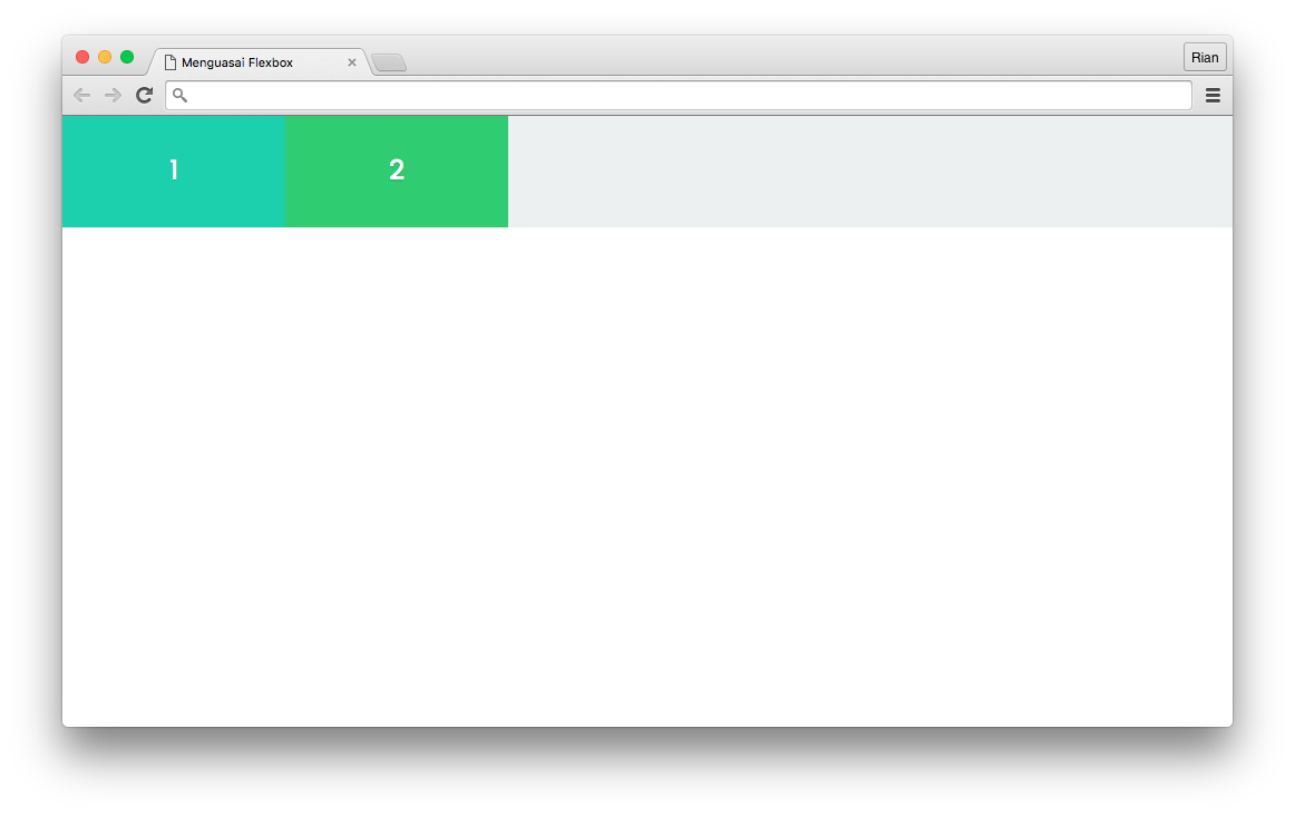 Flexbox Layout : Initial Preview untuk demo Flex-grow