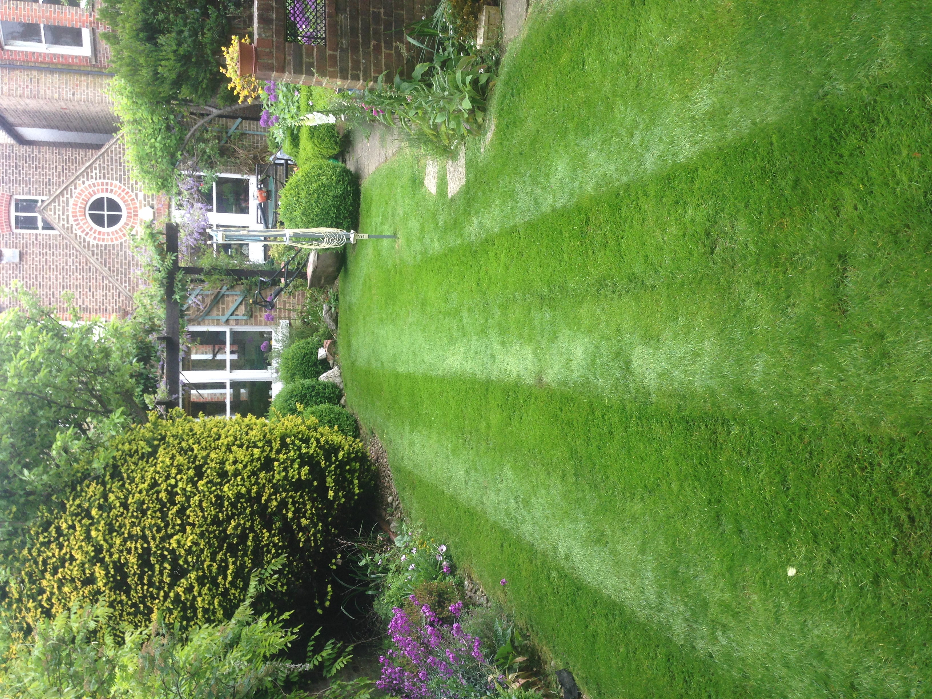 New lawn laid in Burgess Hill, replacing tired and worn grass