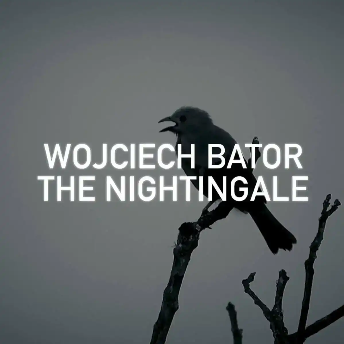 The Nightingale The Nightingale