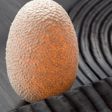 Egg-shaped lamp with an intricate texture of dragon scales, glowing with a warm light, with a background of dark wood