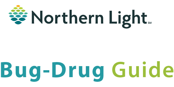 Northern Light Health logo