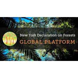 New York Declaration on Forests (Global Platform) logo