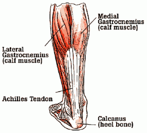 "Plantar