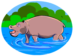 The Whopping Hippo The Whopping Hippo