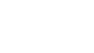 DirectPay_L