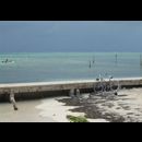 Belize Beaches 7