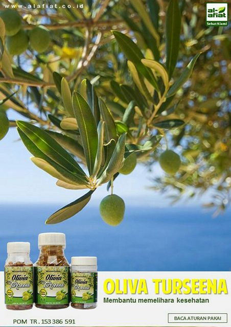 Minyak Zaytun Olivia Turseena