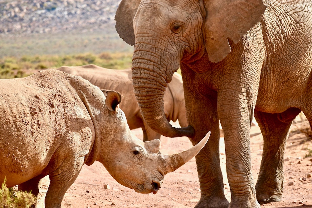 Music and Tech — Completely Different Animals?