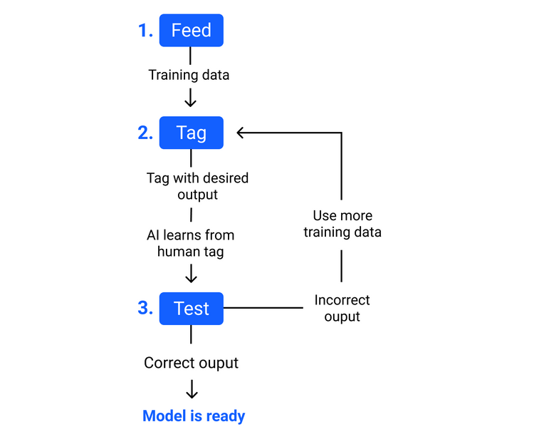 What Is Training Data in Machine Learning?