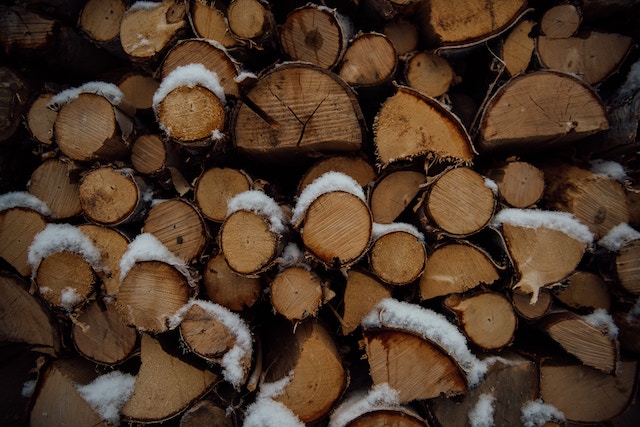 A stack of chopped firewood