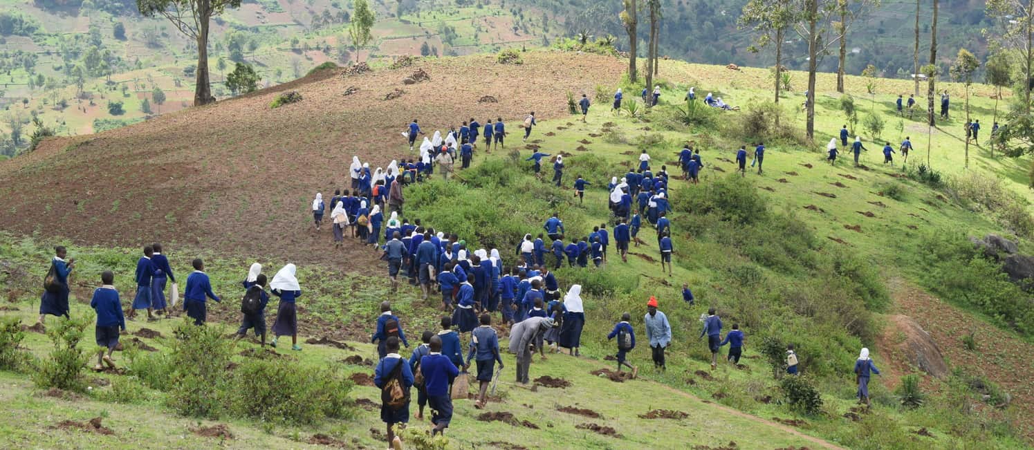 Photo: Tree planting in Tanzania (Source: Friends of Usambara)