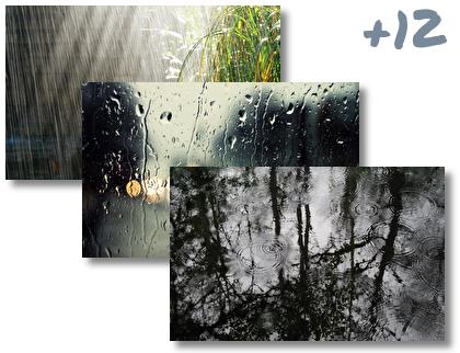 Rain In Forest theme pack