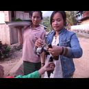 Laos Muang Ngoi 3