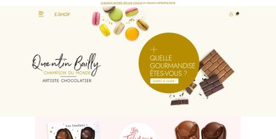 Quentin Bailly website, crafted by Artimon Digital