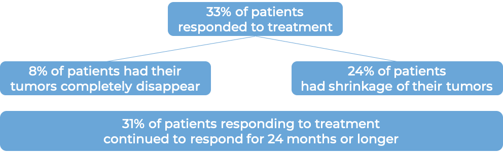 Results after treatment with Yervoy and Opdivo (diagram)