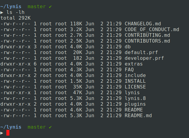 Audit your web server using Lynis | Kinaro's blog of things