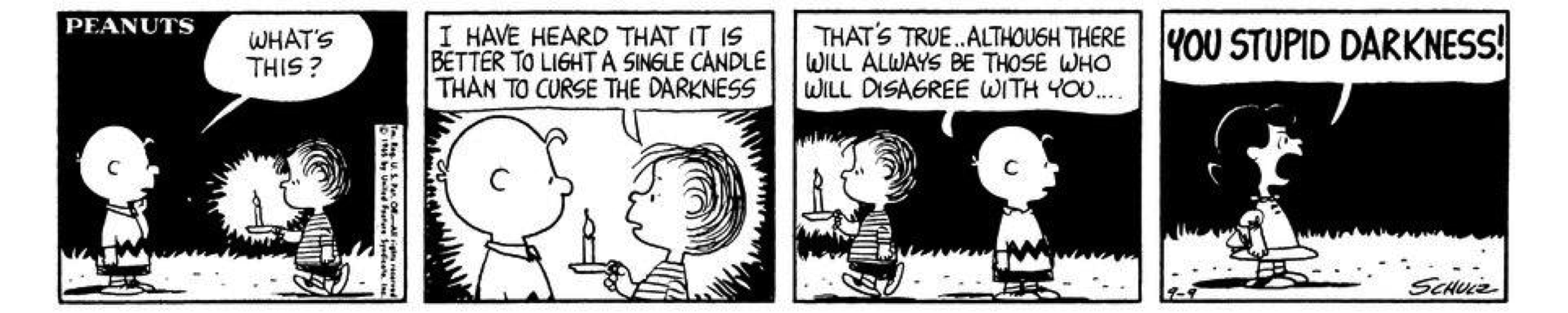 You Stupid Darknes! http://www.gocomics.com/peanuts/1965/09/09.
