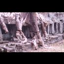 Cambodia Jungle Ruins 13
