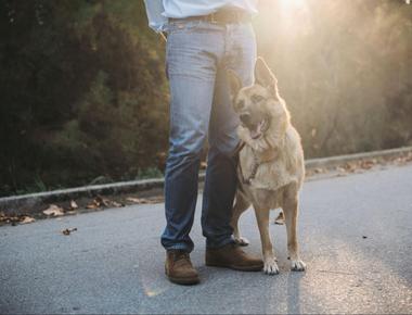 From Couch-Potato to Bodyguard: Training Your Dog for Personal Protection