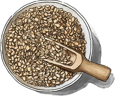 Illustration of Rolled Oats