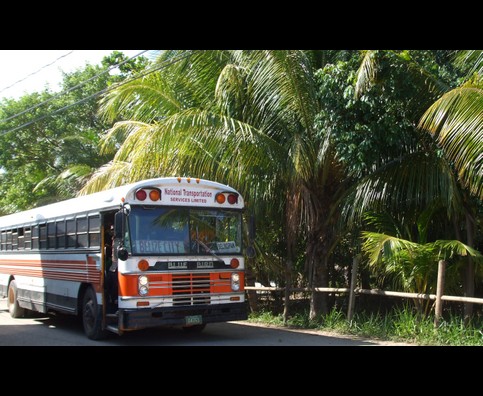 Belize Transport 2
