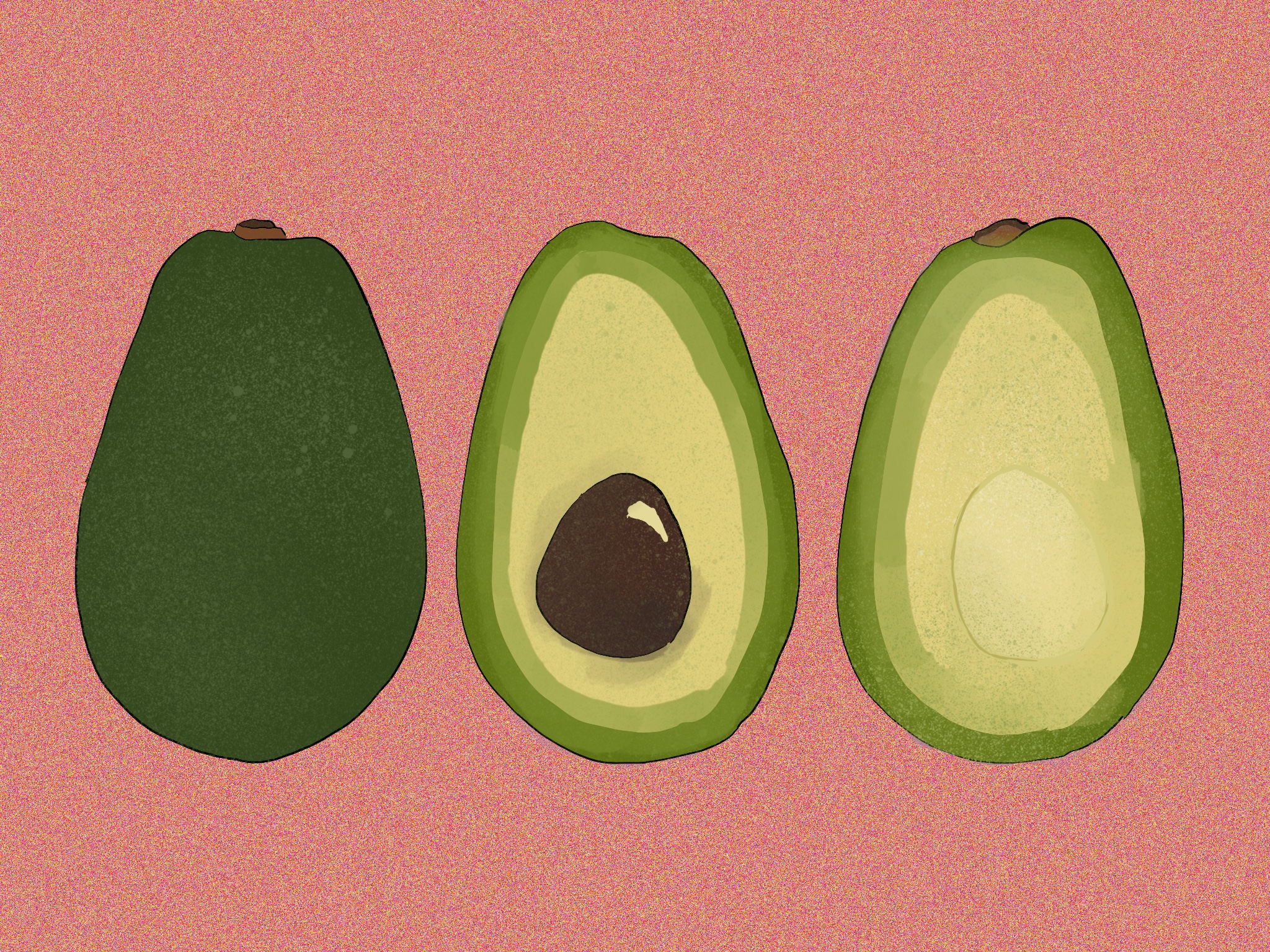 avocados illustration
