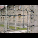 Auschwitz 6