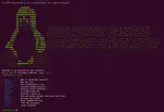 Primeiro Portfolio com Estilo de Terminal