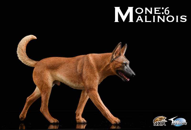 Belgian Malinois With John Wick