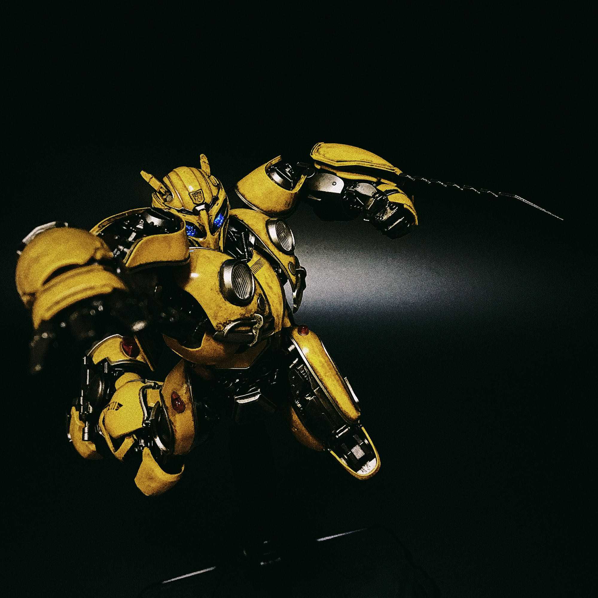 When Bumblebee Has Blade