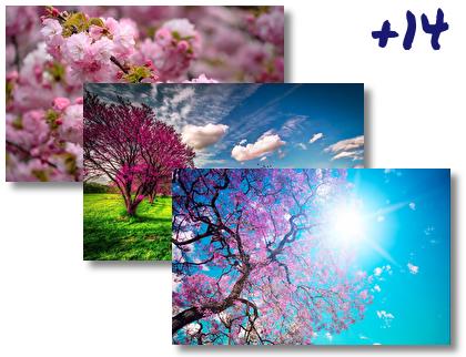 Spring theme pack