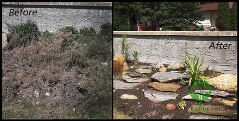 Before and After Garden