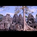 Cambodia Ta Prohm 12