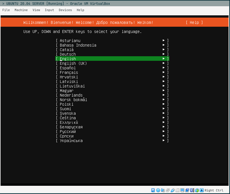 Halaman installer ubuntu server