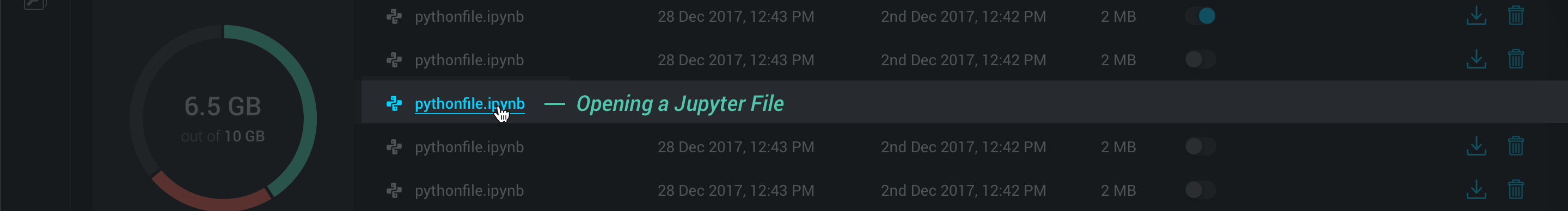Opening a Jupyter Notebook