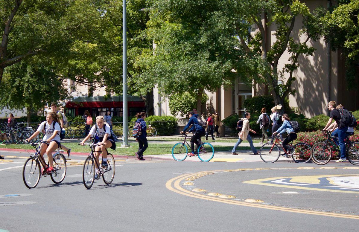 oh my god twitter doesn’t include alt text from images in their API