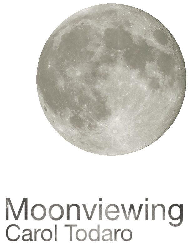 Moonviewing cover
