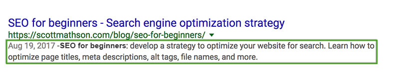 SEO Beginner's Guide SEO Beginner's Guide - Meta Description in Google SERP