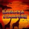 <h1>Savanna Stampede online</h1> - Logo