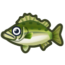 Sea Bass