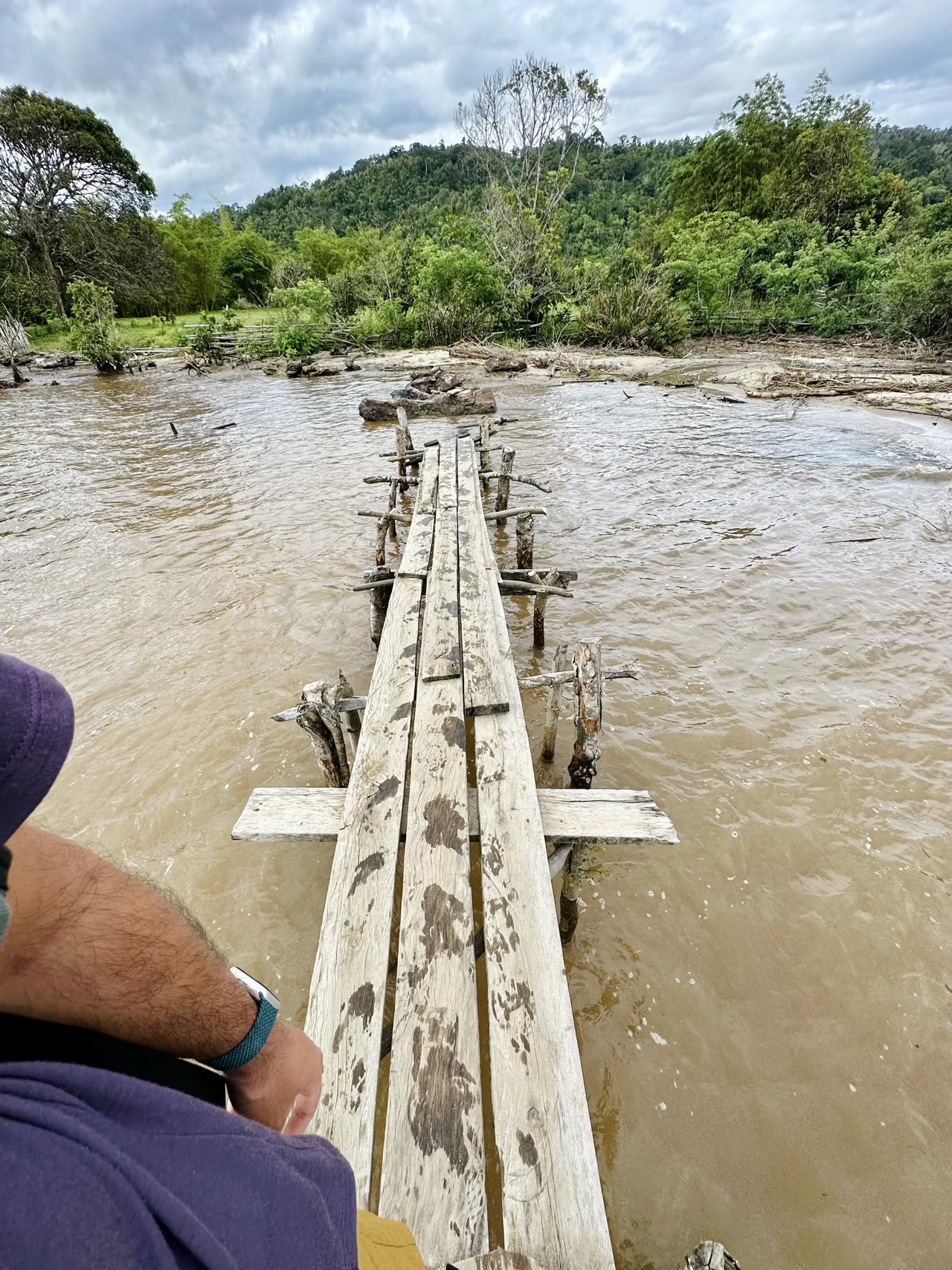 One part of our trek to find the aye-aye, a bridge that had seen better days