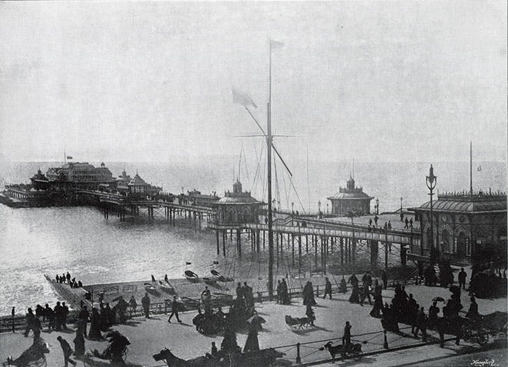  black and white vintage image of a victorian seaside pier