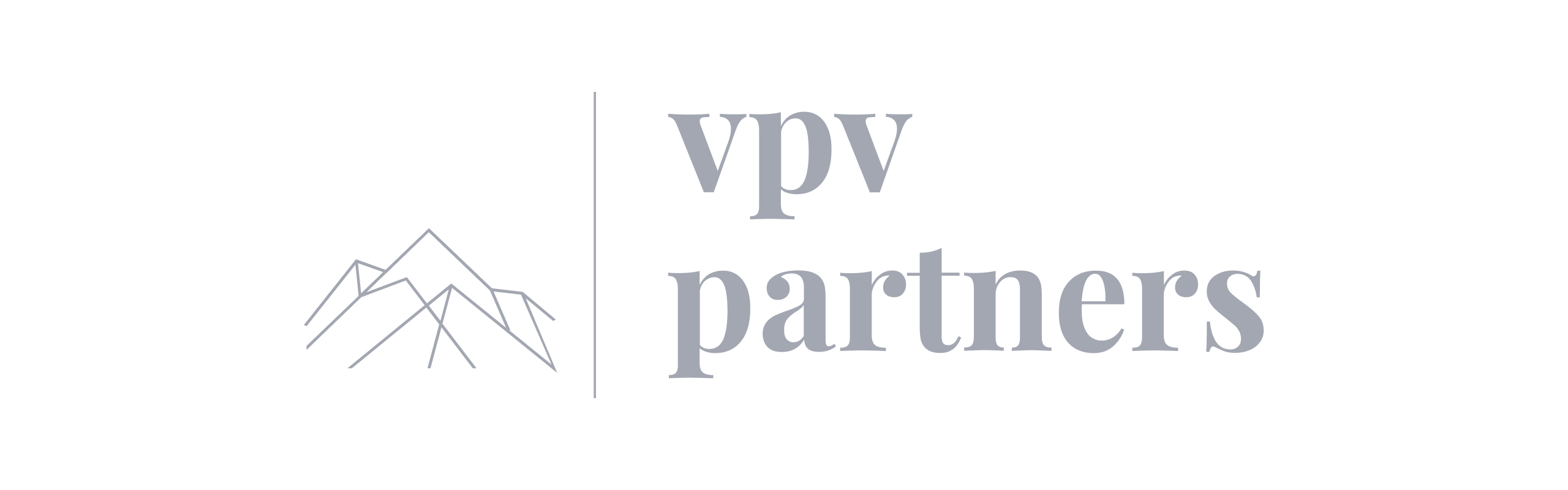 Technology & product due diligence | Code & Co. advises VPV PARTNERS (logo shown)