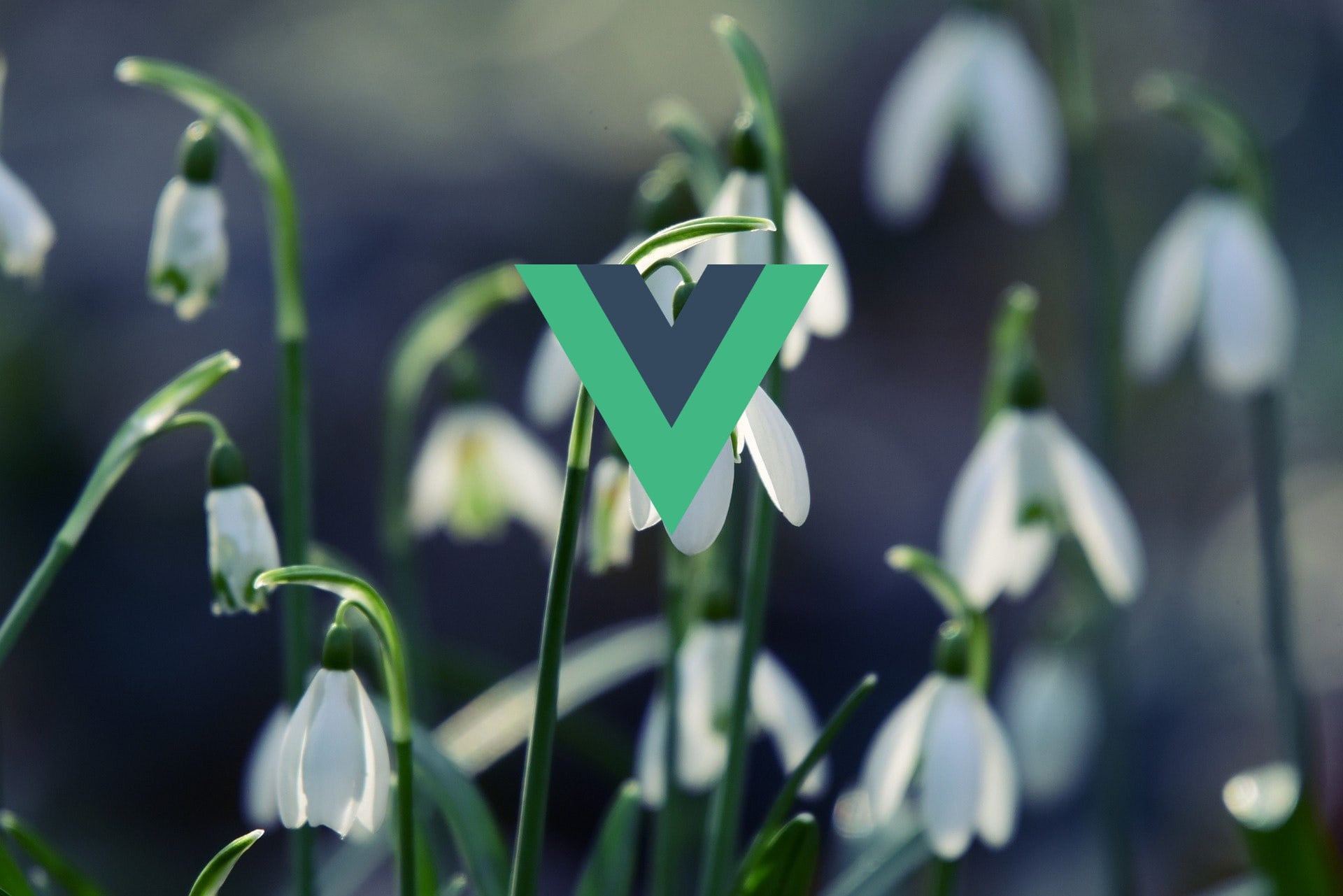 Cómo usar axios con Vue. Todo lo que necesitas saber