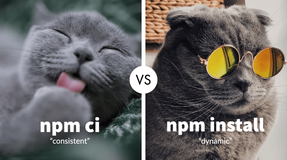 Cat representing npm ci with the word consistent vs cat wearing sunglasses representing npm install with the word dynamic