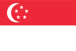 flag_sg