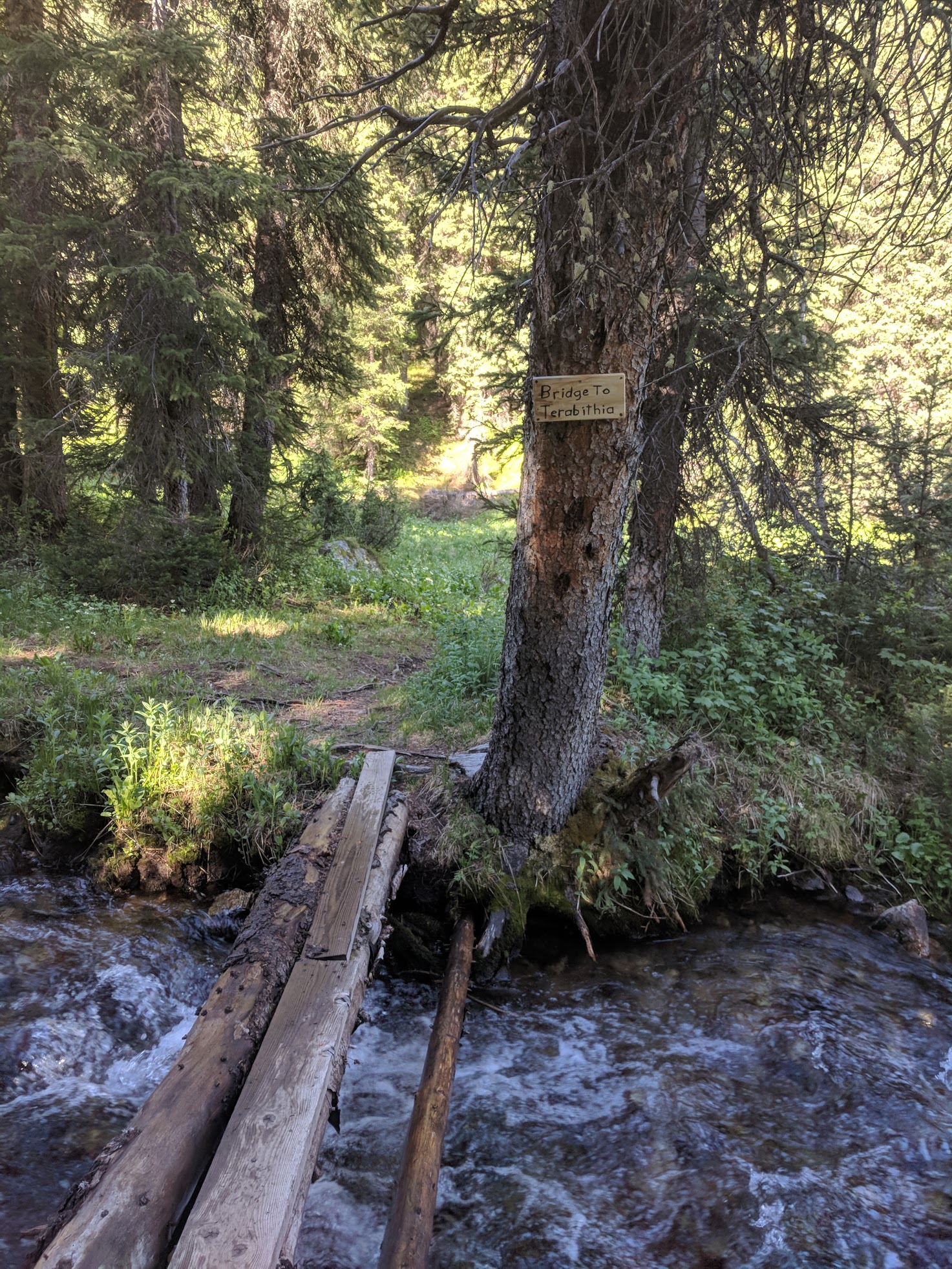 Just to the west of the road at the creek crossing is a small foot bridge with the signage "Bridge to Terabithia"...saved us from the creek crossings.